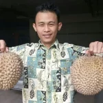 ឥណ្ឌូណេស៊ី និងម៉ាឡេស៊ី ដណ្តើមគ្នាចុះបញ្ជីផ្លែទុរេន ជាផ្លែឈើរបស់ជាតិ